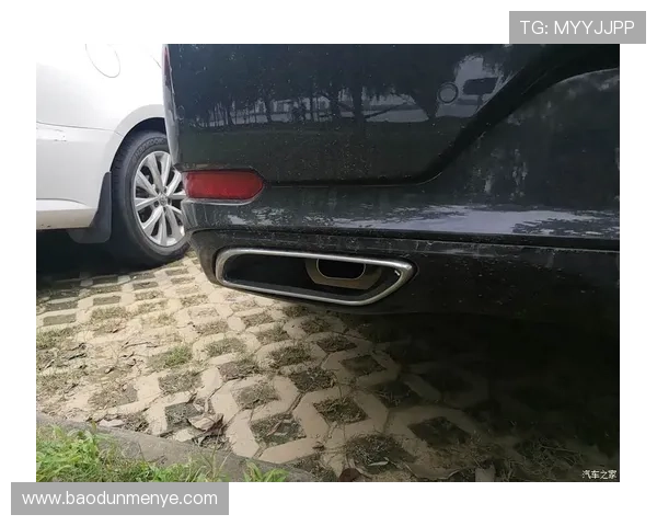 武汉羽毛球队在亚运会中的团队协作表现分析与点评